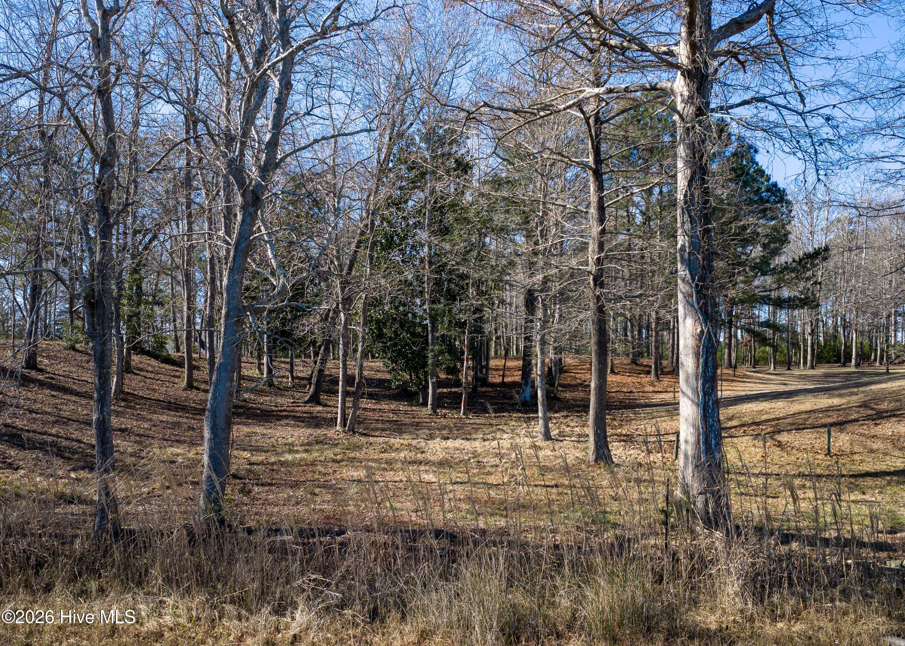 Lot 17 Redd Banks Lane Hampstead, NC 28443 - Photo 26 of 44 17 Redd Banks Ln MLS-30