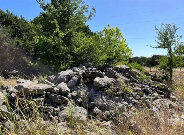 a view of a bunch of trees
