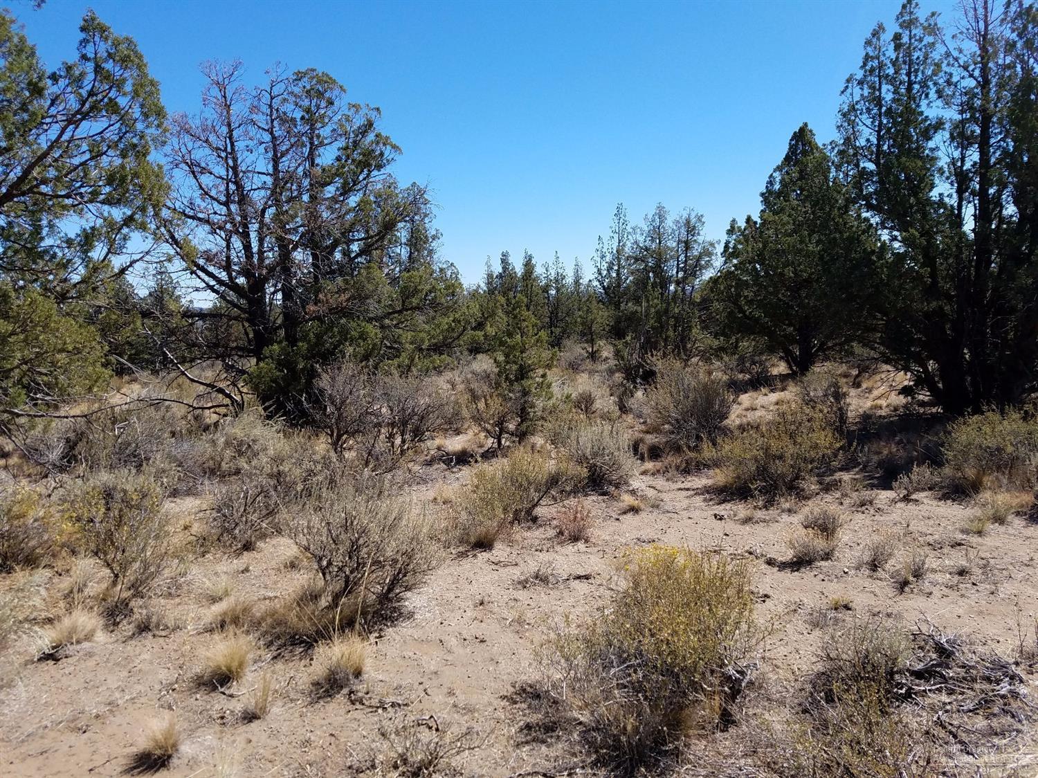 0 Southeast George Millican Road Prineville, OR 97754 - Photo 11 of 12 Additional Photo