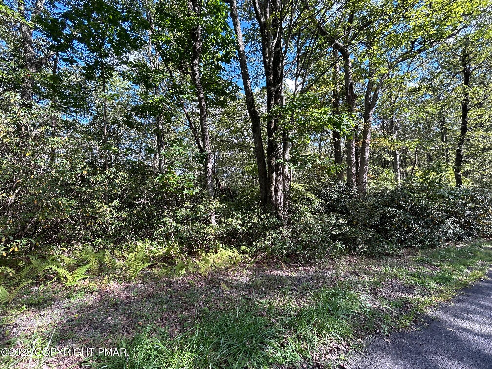 Lot 12 Rhododendron Road Jim Thorpe, PA 18229 - Photo 2 of 5 IMG_4444