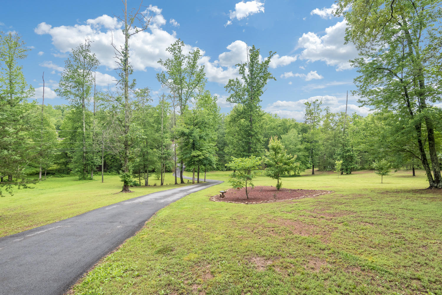 4425 McDonald Road Apison, TN 37302 - Photo 34 of 37 Scenic Driveway