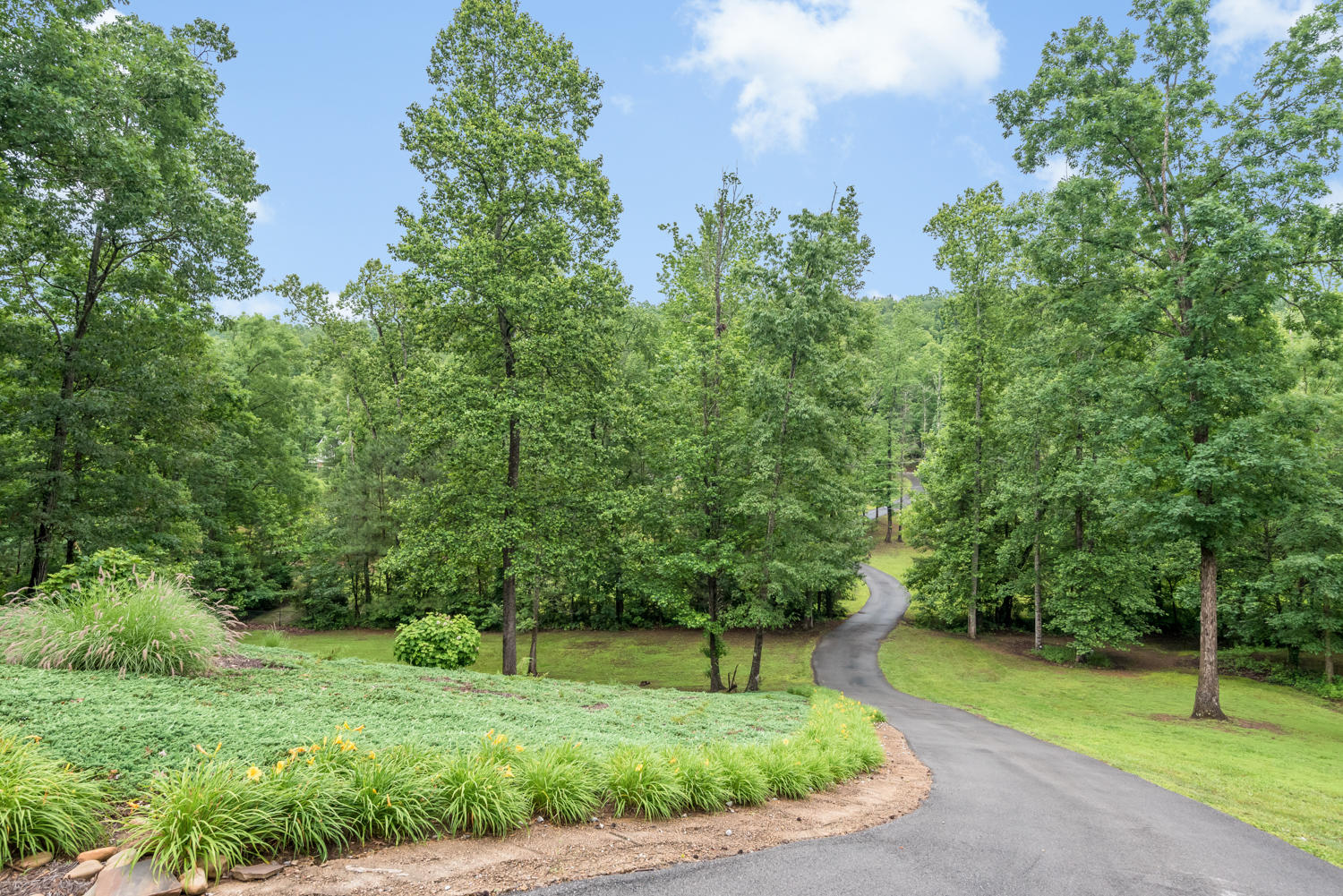 4425 McDonald Road Apison, TN 37302 - Photo 35 of 37 Scenic Driveway