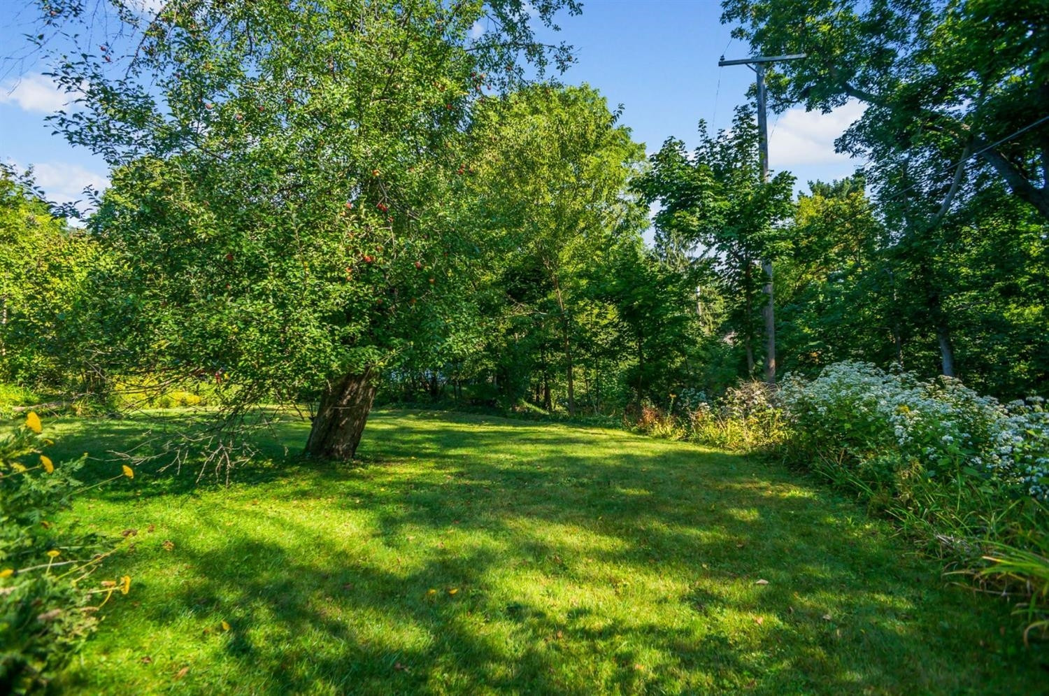 446 Sunset Road Ann Arbor, MI 48103 - Photo 20 of 22 Photo 20
