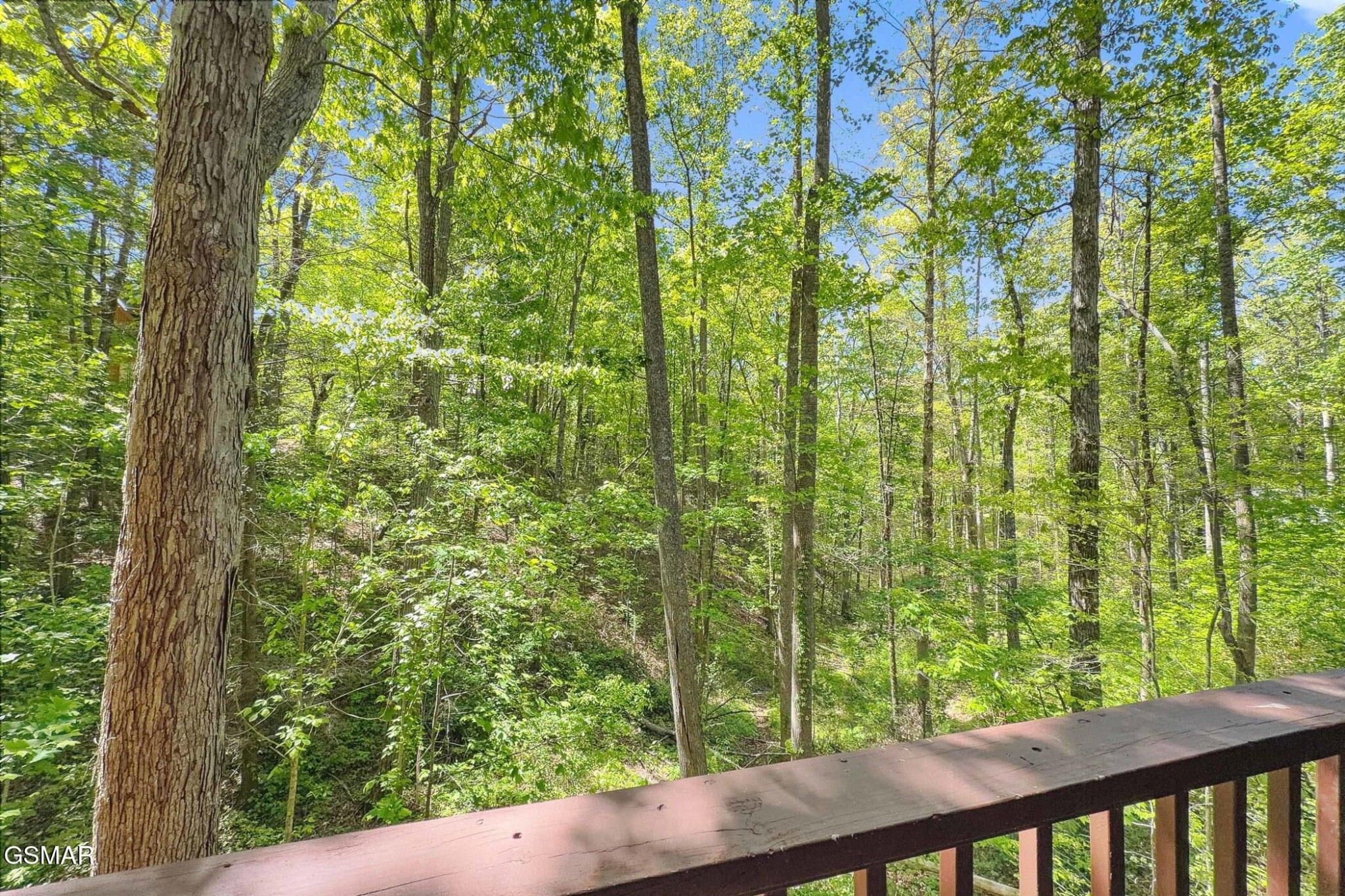 1607 South Mountain View Road Sevierville, TN 37876 - Photo 28 of 29 Gallery Image 28
