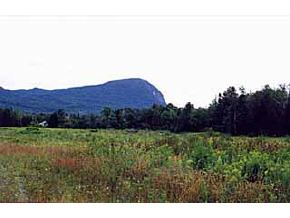396 Peene Hill Road Westmore, VT 05822 - Photo 8 of 8 Gallery Image 8