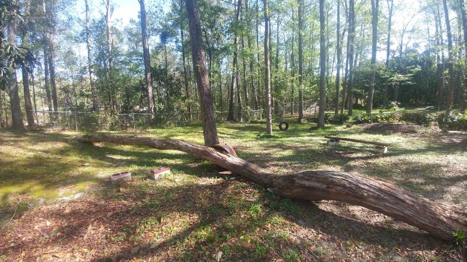 8436 Olde Post Road Tallahassee, FL 32311 - Photo 2 of 34 Gallery Image 2