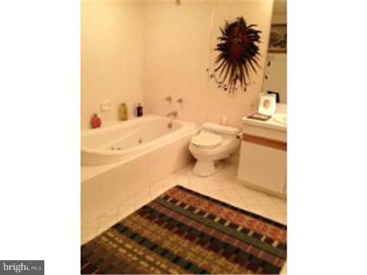 2018-32 Walnut Street, Unit 19GH Philadelphia, PA 19103 - Photo 9 of 10 Bathroom