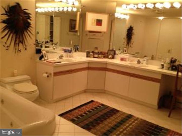 2018-32 Walnut Street, Unit 19GH Philadelphia, PA 19103 - Photo 10 of 10 Bathroom