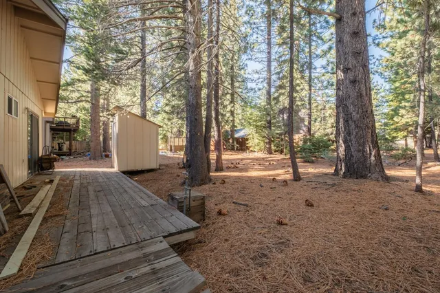 a view of a yard with plants and trees
