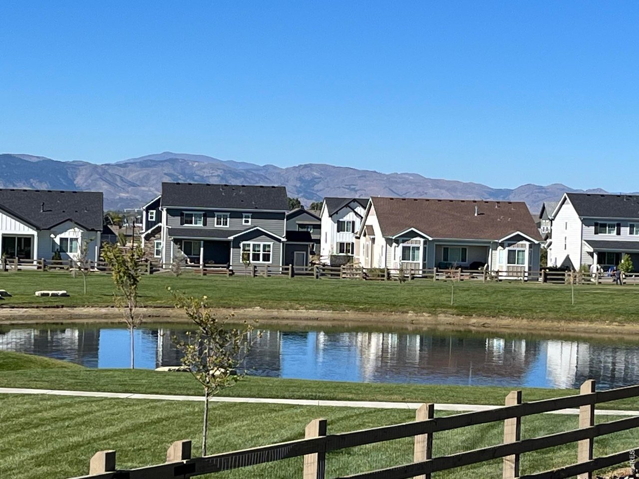 5531 Teeling Court Timnath, CO 80547 - Photo 34 of 48 a view of house with a yard from a pool