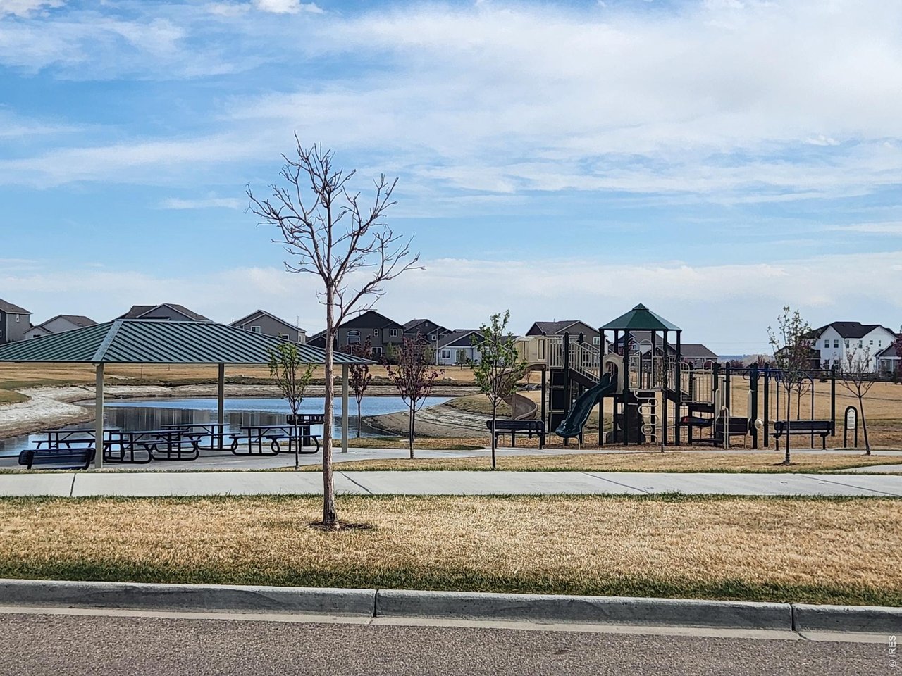 5531 Teeling Court Timnath, CO 80547 - Photo 45 of 48 a view of multiple houses with a yard