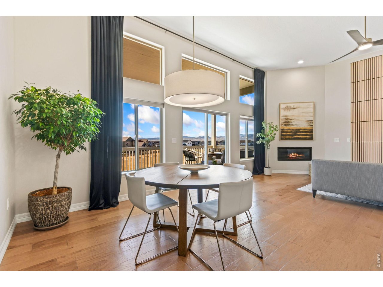 5531 Teeling Court Timnath, CO 80547 - Photo 8 of 48 a kitchen with furniture and a potted plant
