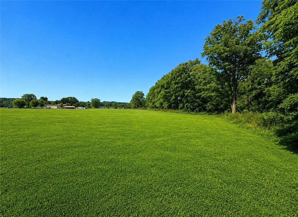 0 Dugue Road Hector, NY 14841 - Photo 6 of 10 Gallery Image 6