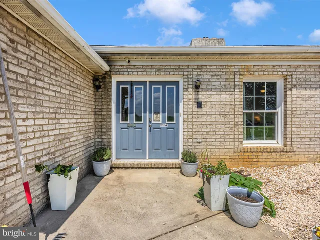 a view of a door and chair and potted plant