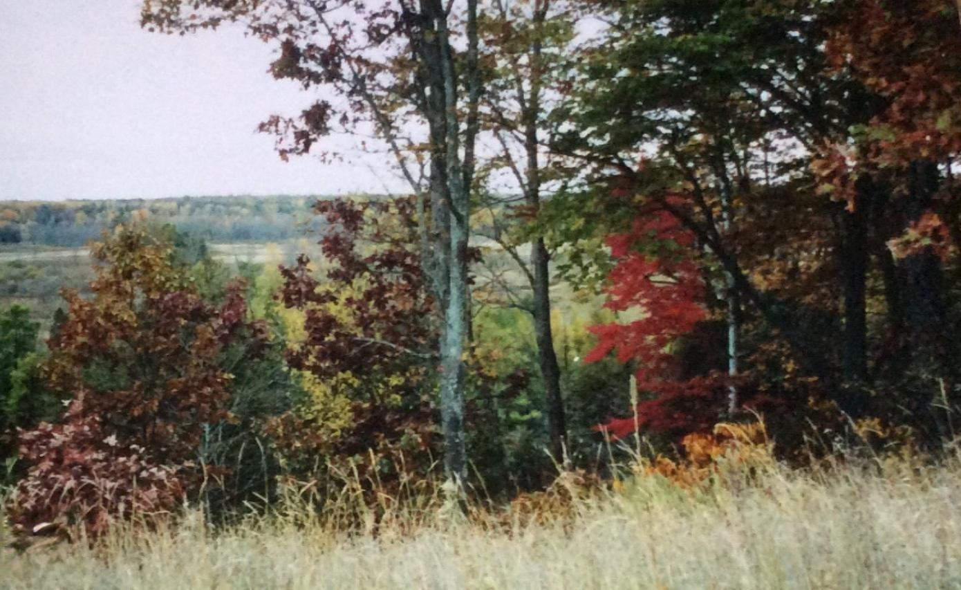 7703 Clements Road Kaleva, MI 49645 - Photo 2 of 5 3