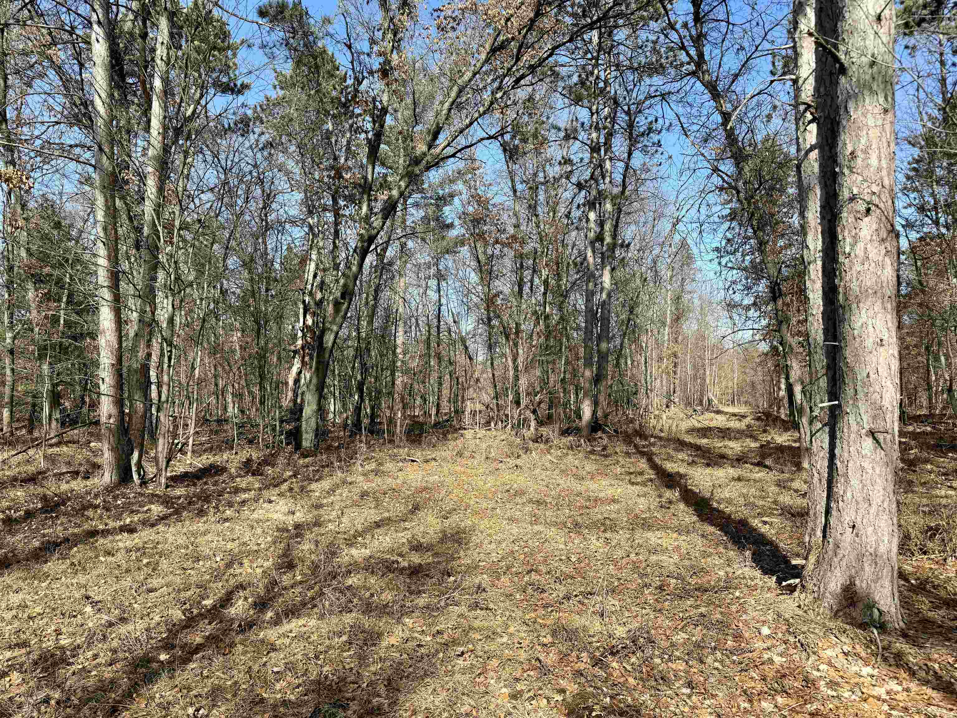 Parcel C West Rosted Road Lake City, MI 49651 - Photo 2 of 20