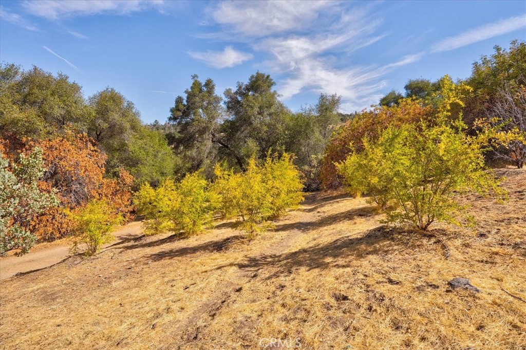 3279 Quail Run Road Mariposa, CA 95338 - Photo 29 of 37