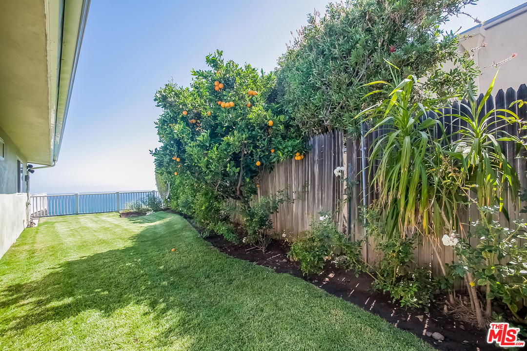 18440 Coastline Drive Malibu, CA 90265 - Photo 16 of 21 a view of a backyard with plants
