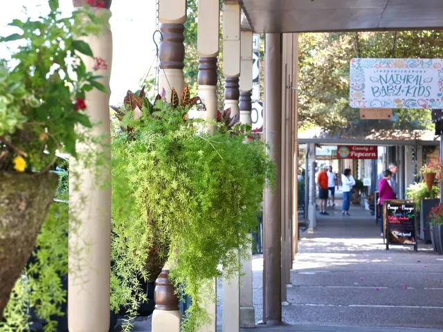 a front view of a building with potted plants