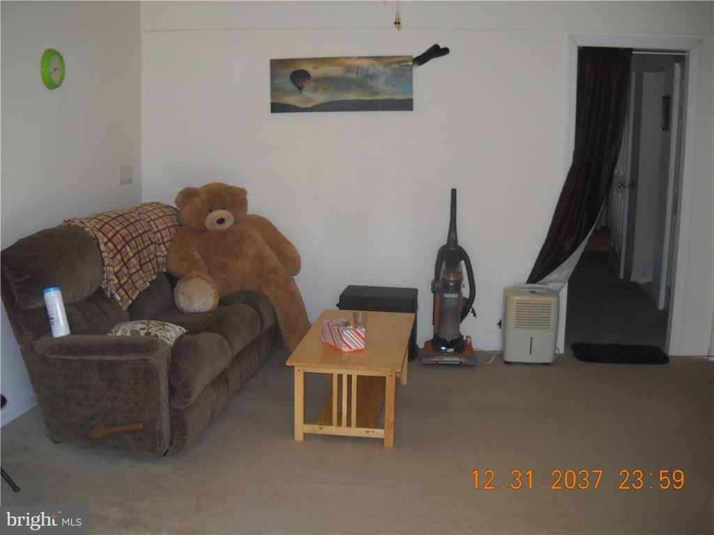20118 Beaver Dam Road Lewes, DE 19958 - Photo 25 of 34 Gallery Image 25