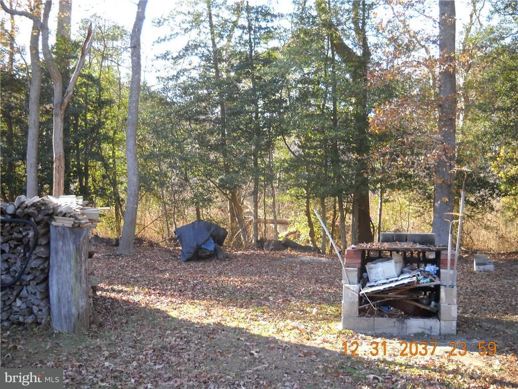20118 Beaver Dam Road Lewes, DE 19958 - Photo 9 of 34 Gallery Image 9