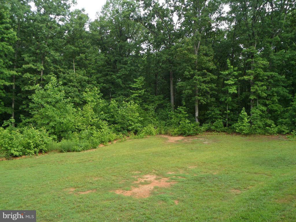 3640 Shirleys Hill Road Partlow, VA 22534 - Photo 25 of 25 a view of a field with a trees in the background