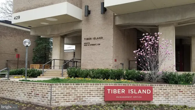 a view of backyard with garden