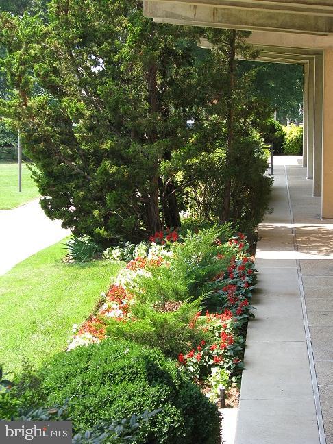 490 M Street Southwest, Unit W705 & 709 Washington, DC 20024 - Photo 4 of 37 a view of backyard with garden