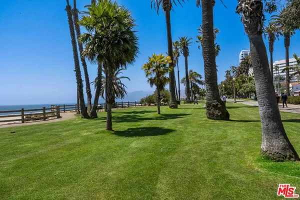 a view of a park with palm trees