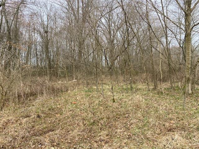 0 Steiman Road, Unit 11AC Sardinia, OH 45171 - Photo 14 of 25 Gallery Image 14