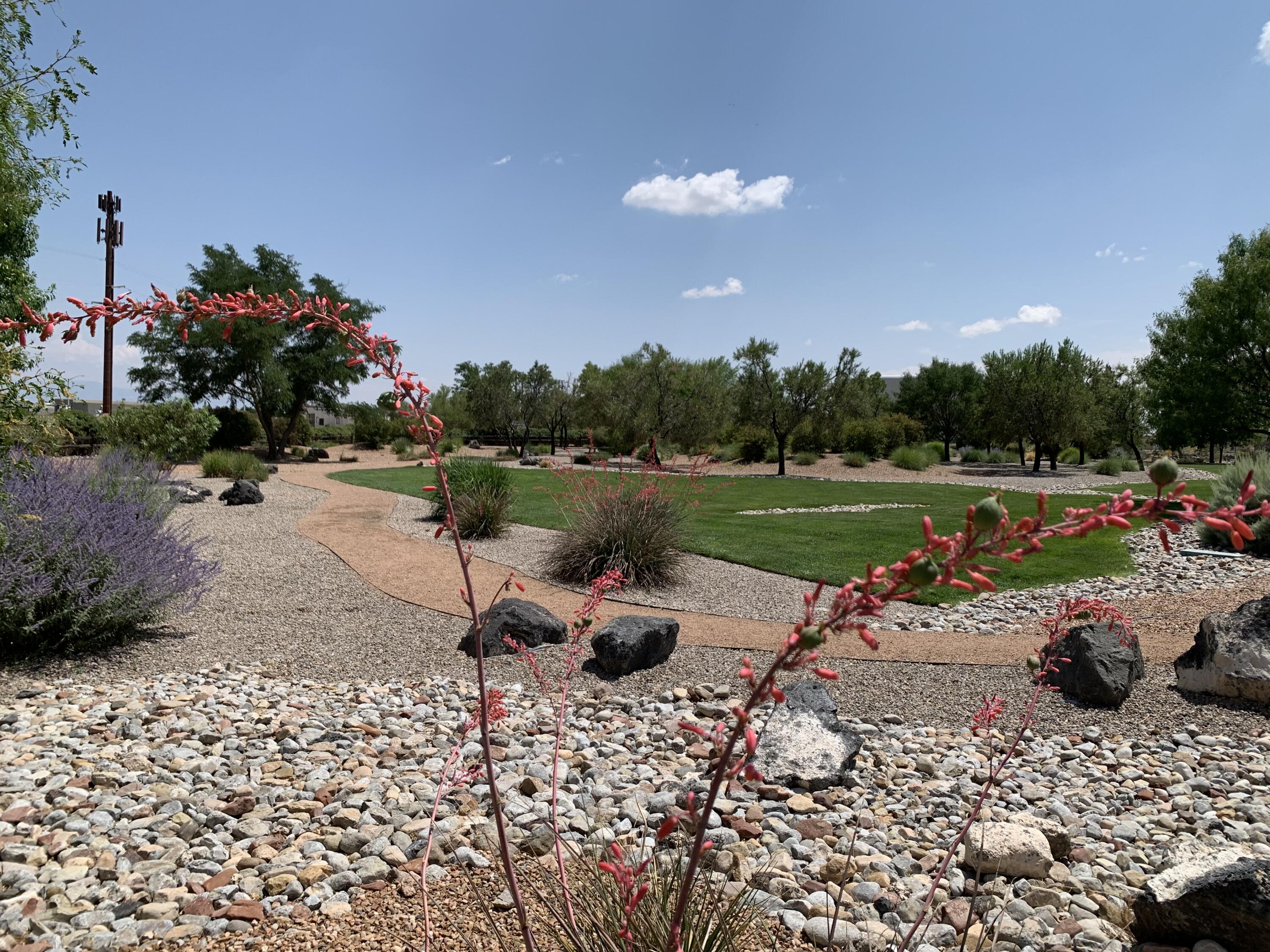 8335 Groundsel Road Northwest Albuquerque, NM 87120 - Photo 42 of 50 Gallery Image 42