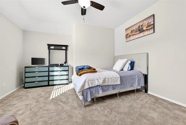 a view of a backyard with plants and large trees