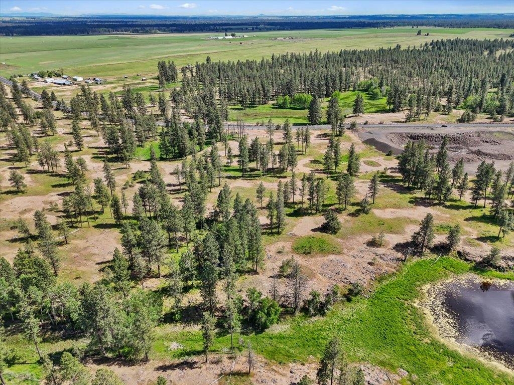 Nka South Malloy Prairie Road, Unit PARCEL F 03032 9053 Cheney, WA 99004 - Photo 4 of 8