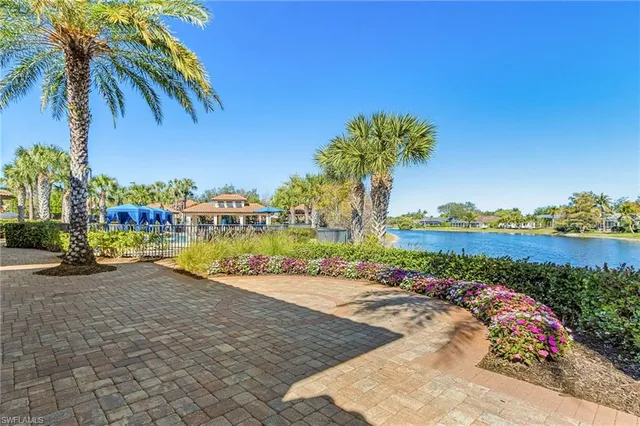 a view of a park with palm trees