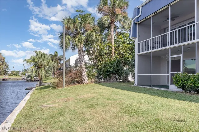 a view of a backyard with plants and large trees