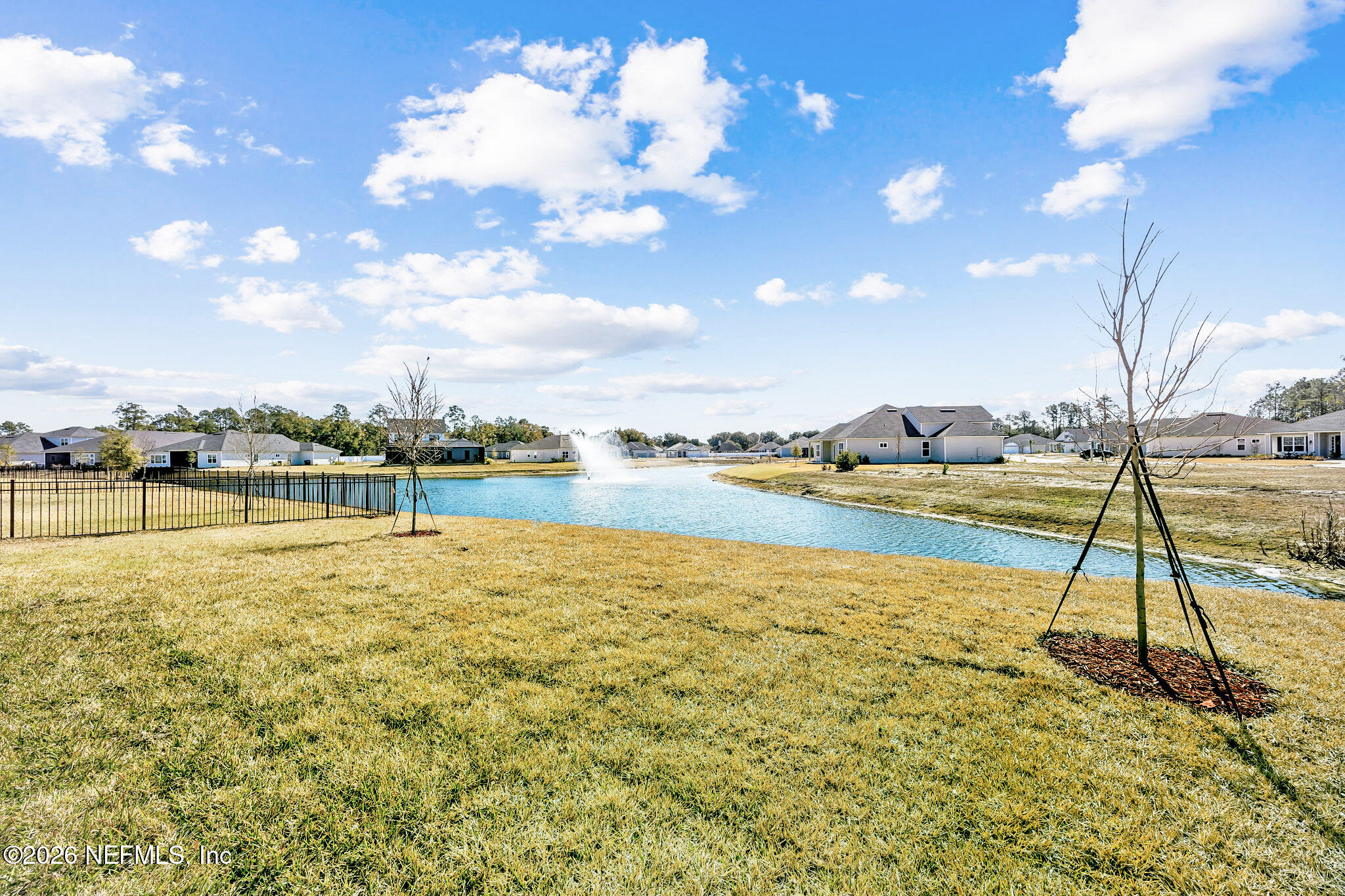 85417 Sandy Rdg Loop, Unit 84 Yulee, FL 32097 - Photo 22 of 23 Backyard