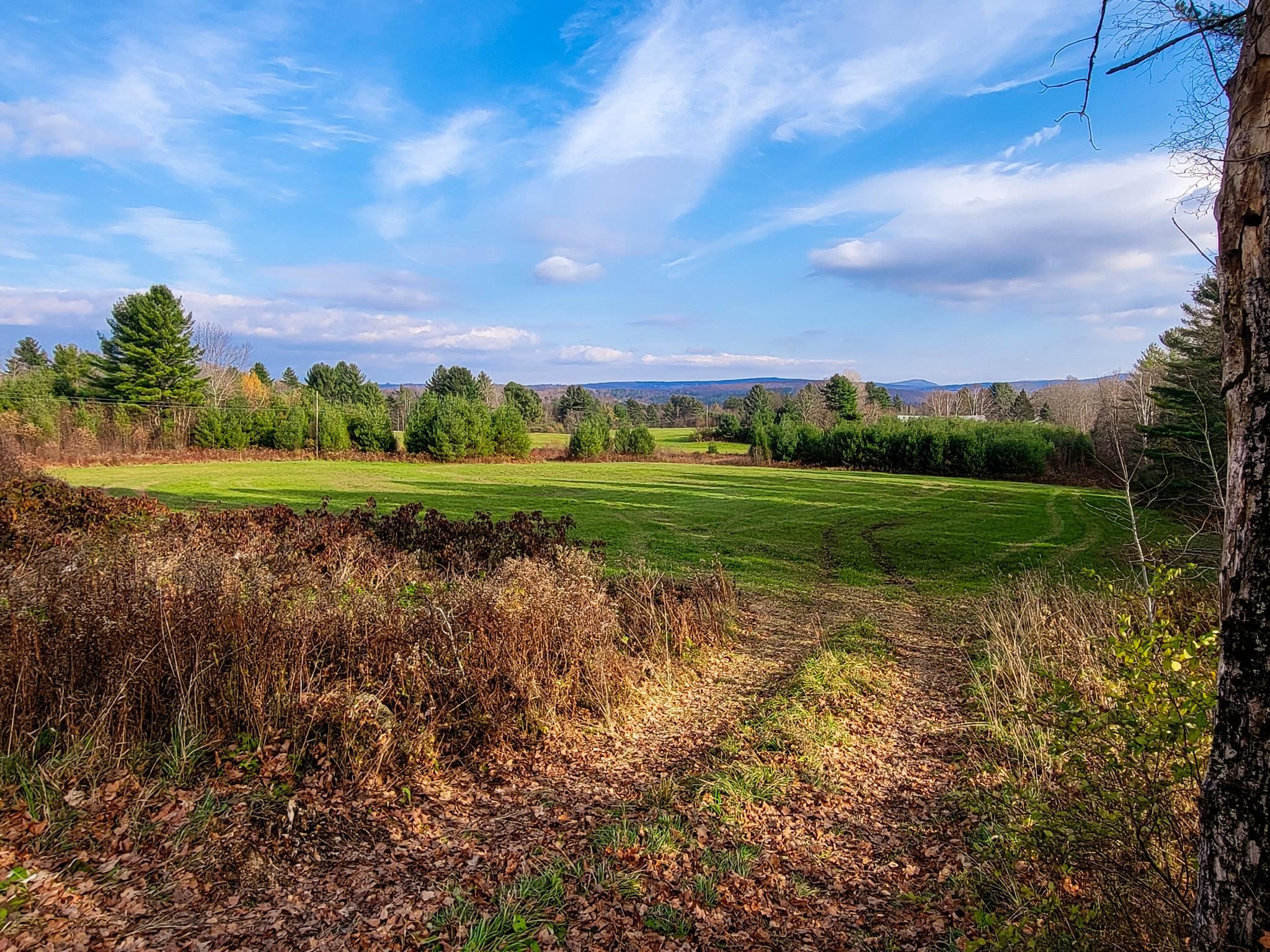 3195 Cabot Road Woodbury, VT 05647 - Photo 11 of 40 Gallery Image 11
