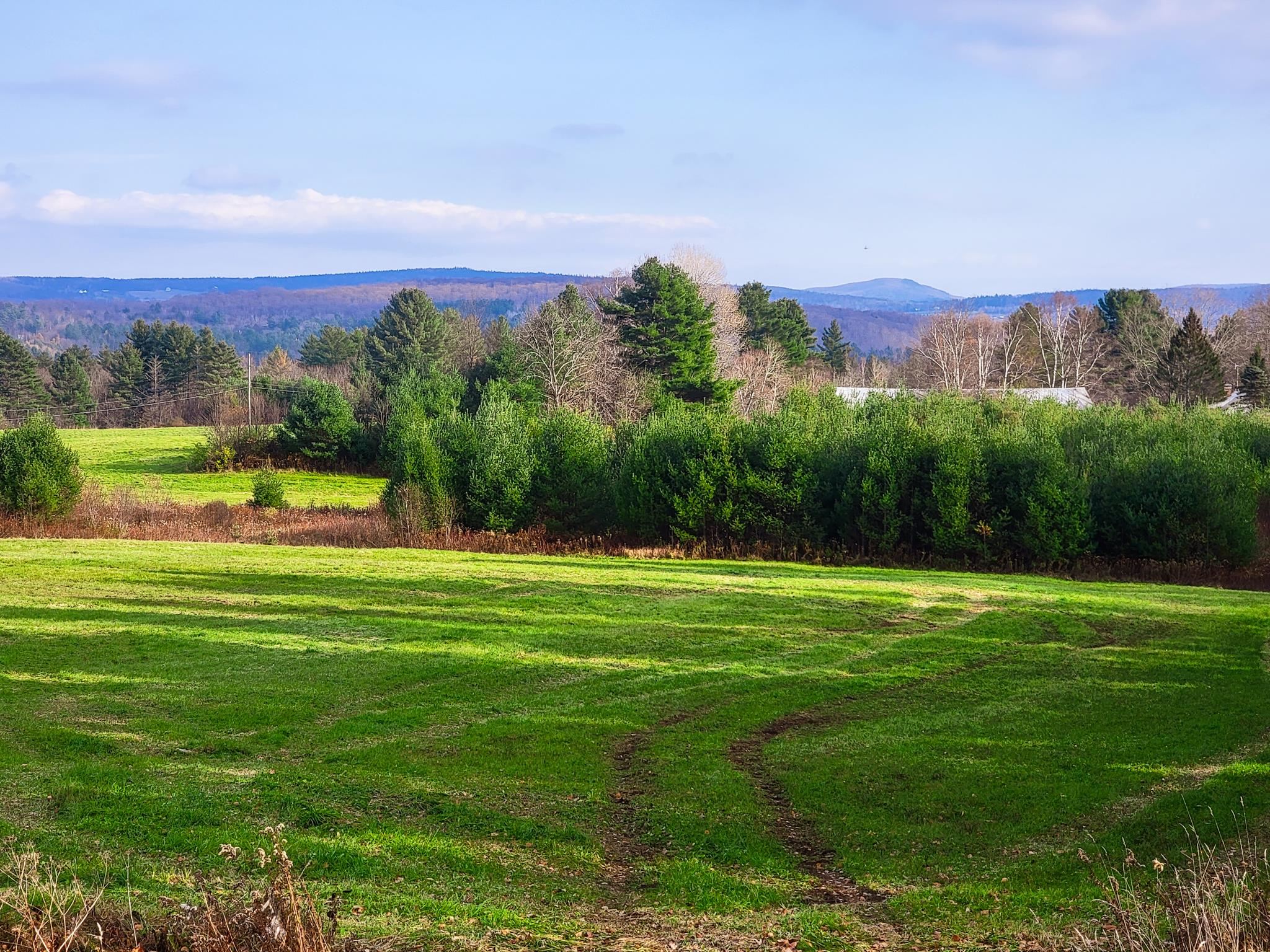 3195 Cabot Road Woodbury, VT 05647 - Photo 12 of 40 Gallery Image 12