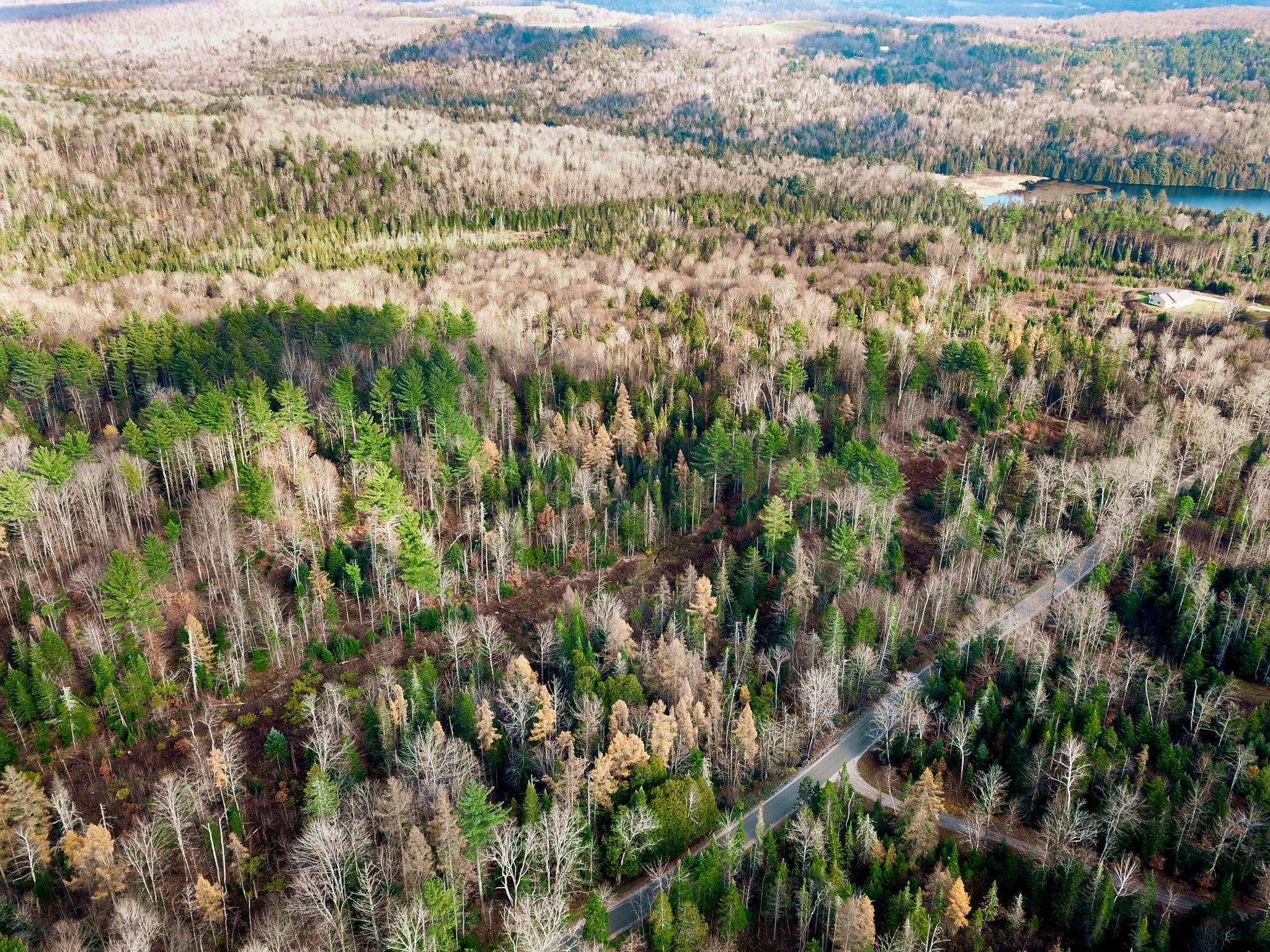 3195 Cabot Road Woodbury, VT 05647 - Photo 23 of 40 Gallery Image 23