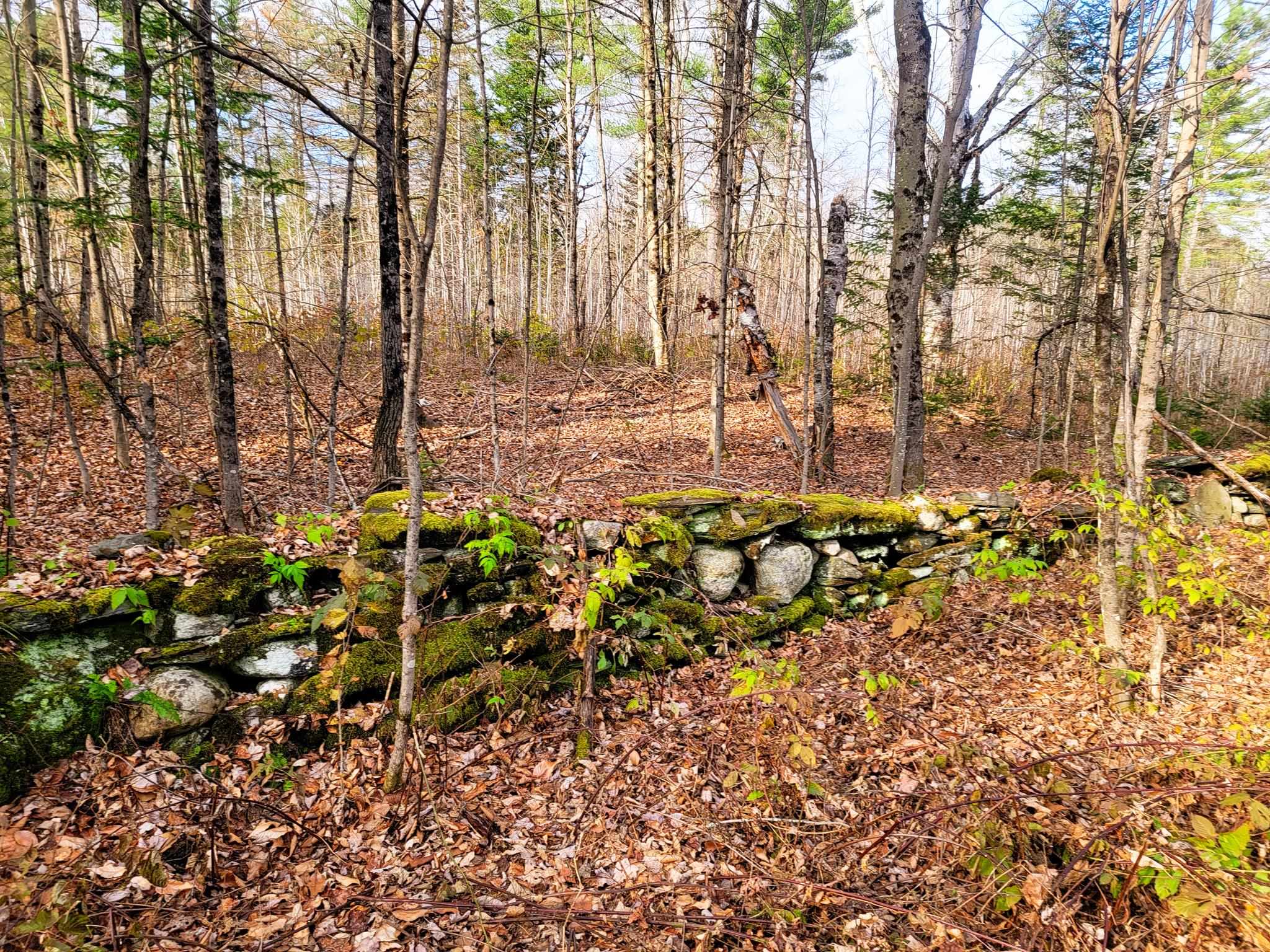 3195 Cabot Road Woodbury, VT 05647 - Photo 24 of 40 Gallery Image 24