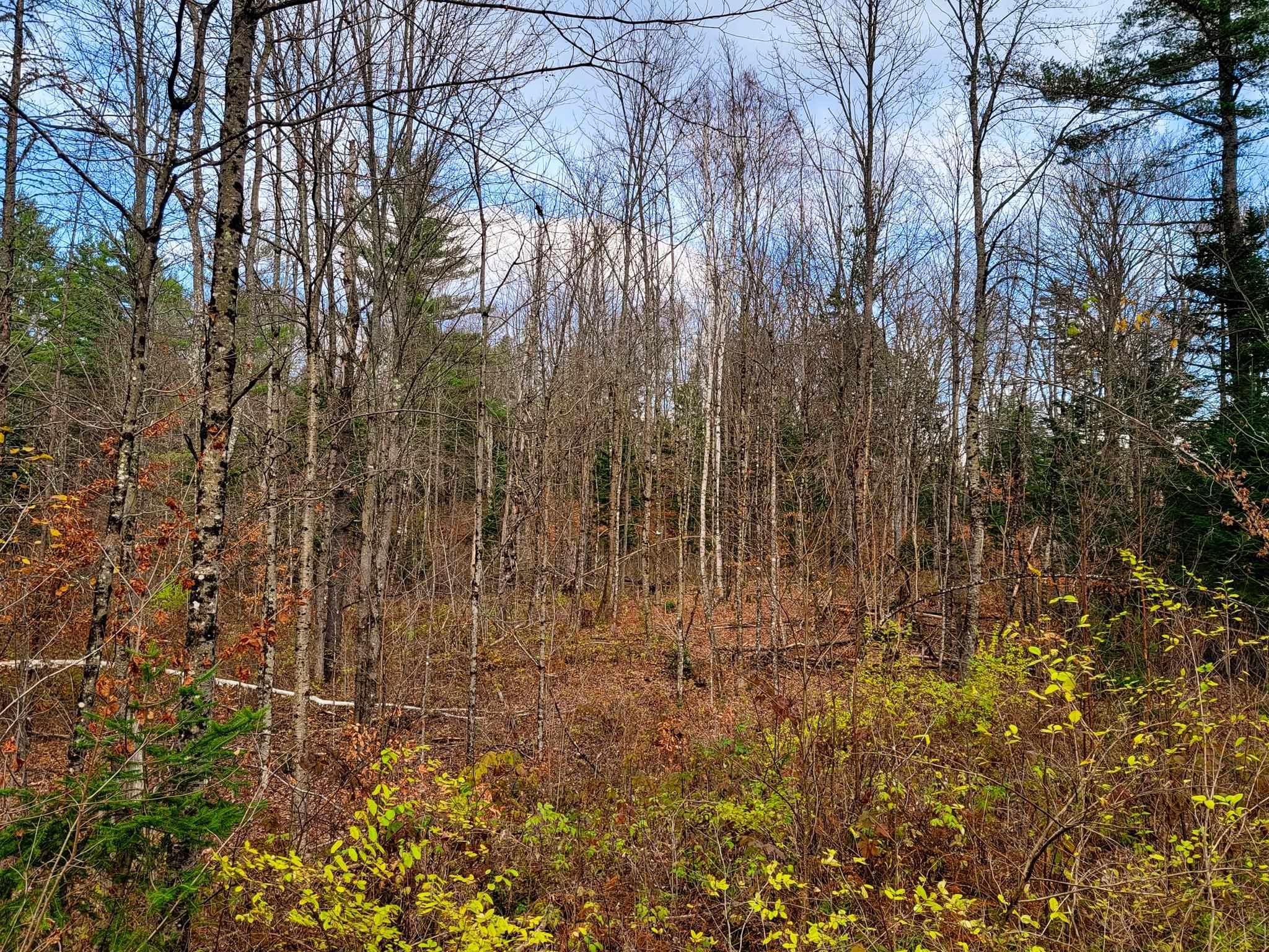 3195 Cabot Road Woodbury, VT 05647 - Photo 38 of 40 Gallery Image 38