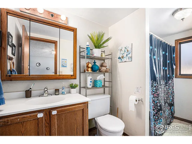 a bathroom with a sink a toilet a shower and a mirror