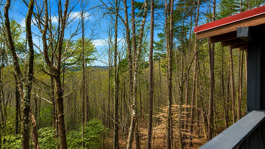 325 Pettit Ridge Road Ellijay, GA 30536 - Photo 6 of 48 Gallery Image 6