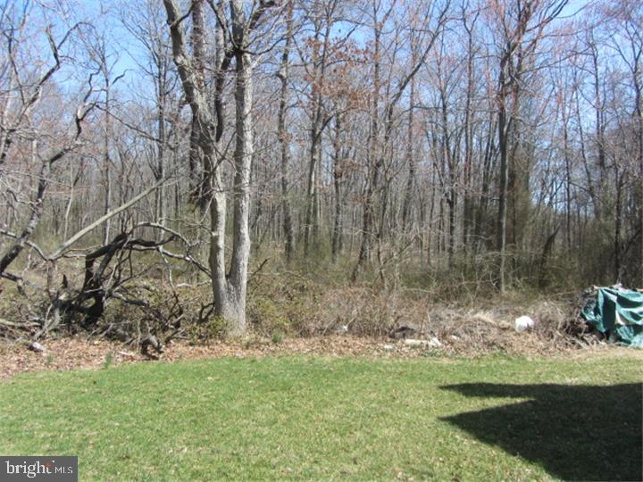 2210 High Street Croydon, PA 19021 - Photo 16 of 25 Gallery Image 16