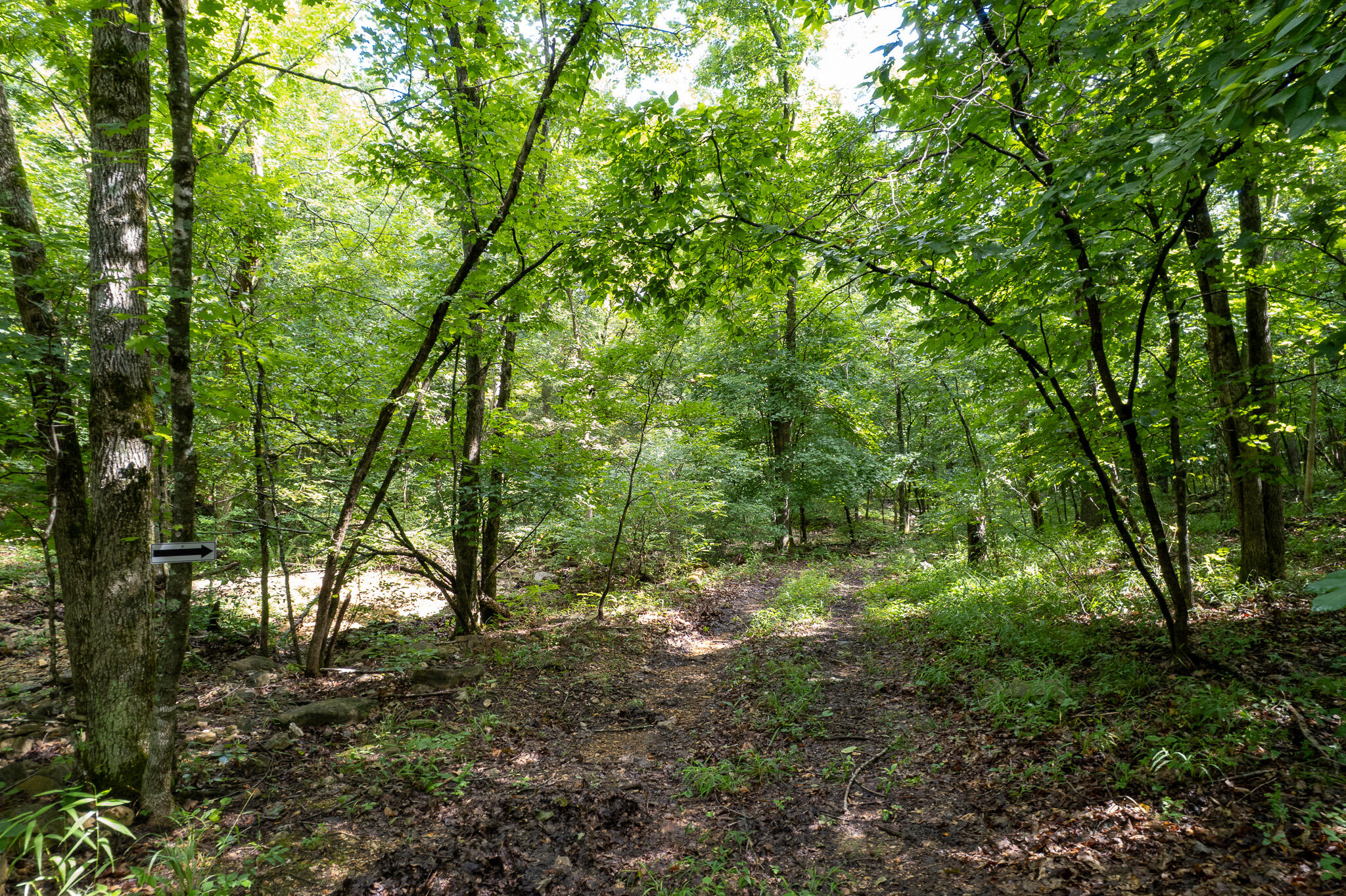 121 Legacy Farms Road Chestnutridge, MO 65630 - Photo 56 of 60 1(55)