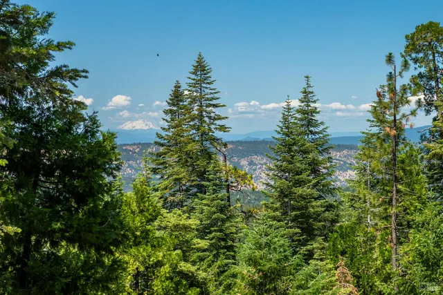 $450,000 | 7256 Shasta Forest Drive, Shingletown, CA 96088