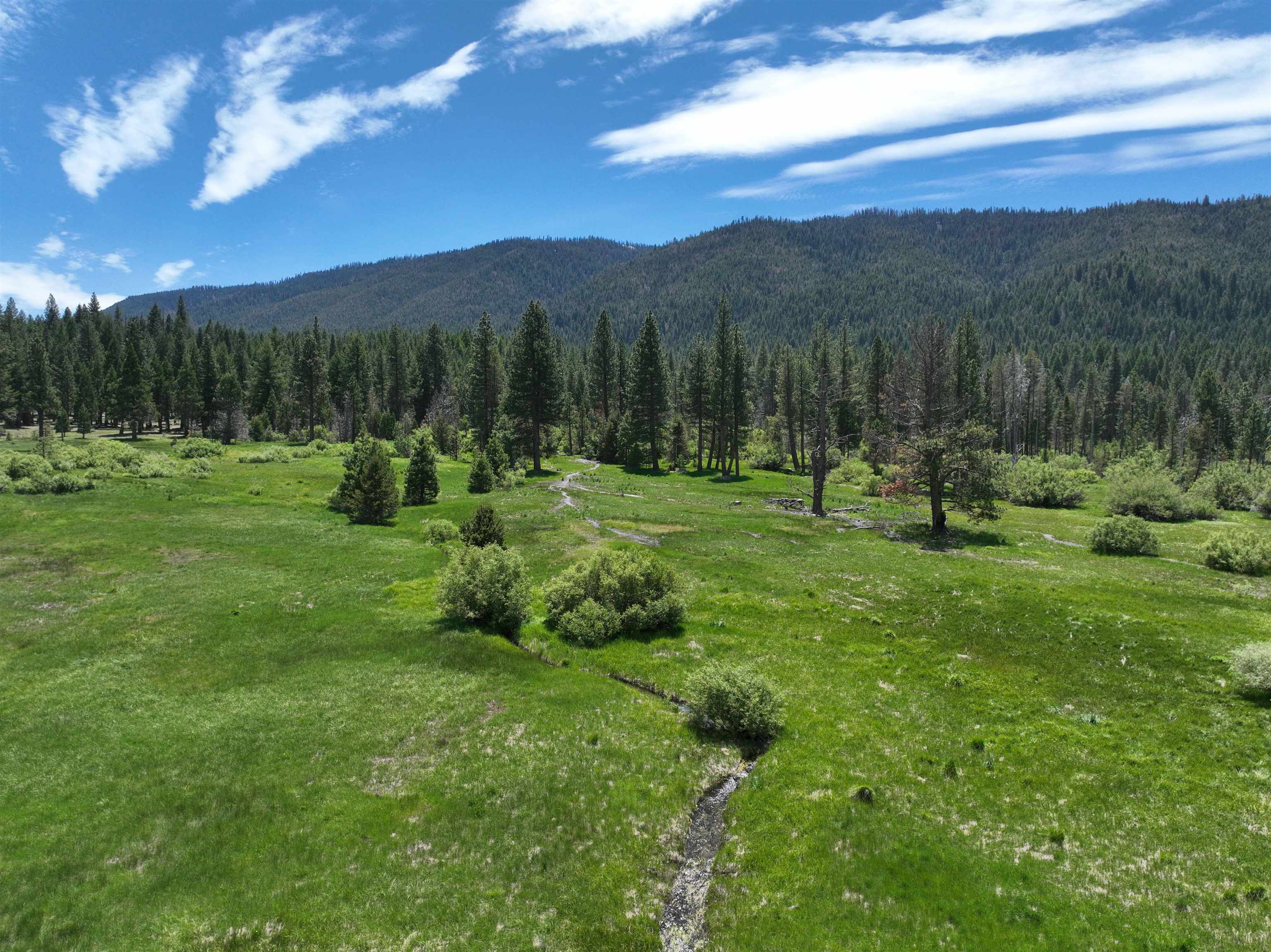 475 Old Hatchery Road Clio, CA 96106 - Photo 3 of 14 a view of grassy field with mountain