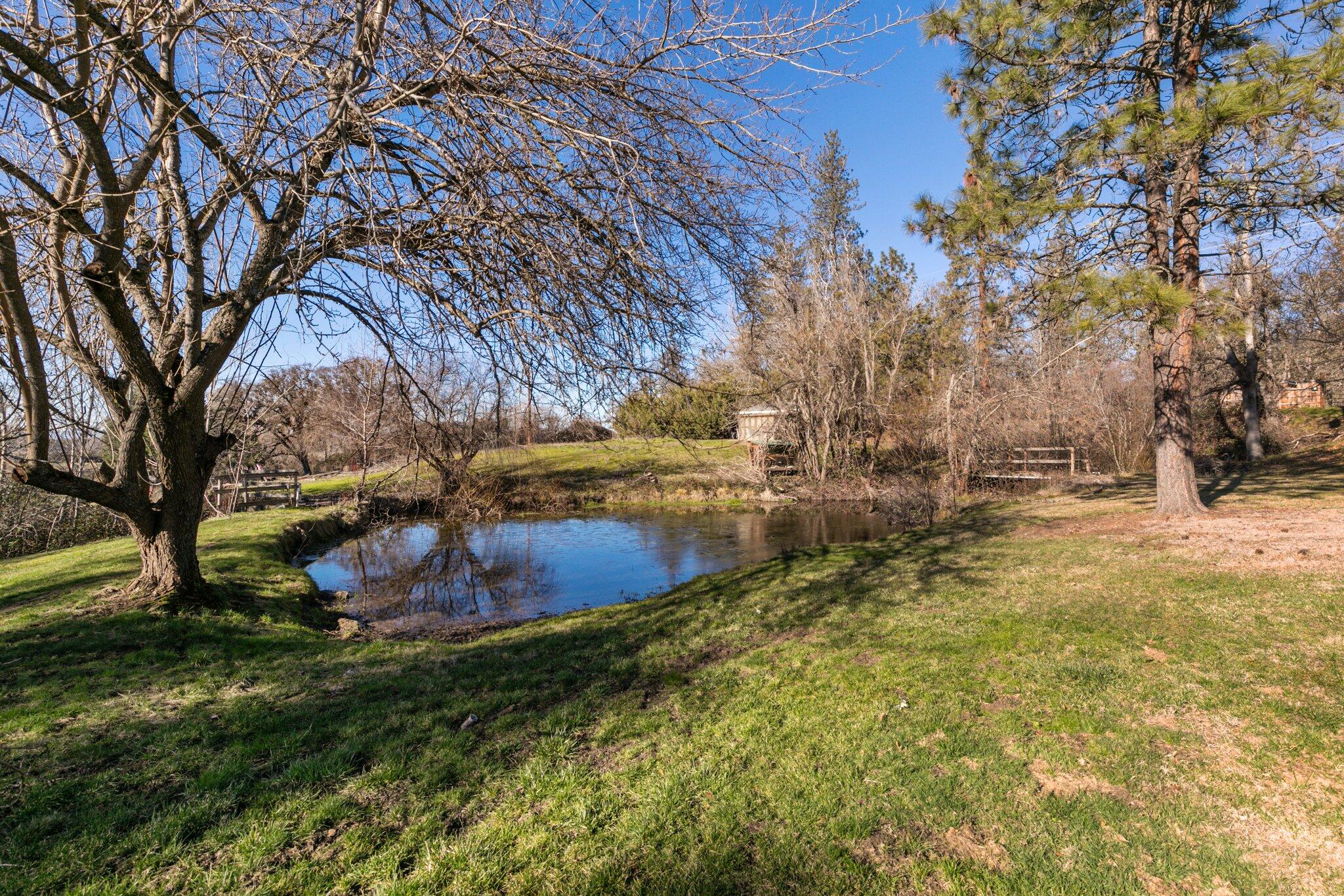 1050 Yankee Creek Road Eagle Point, OR 97524 - Photo 9 of 41 14-web-or-mls-IMGM8838