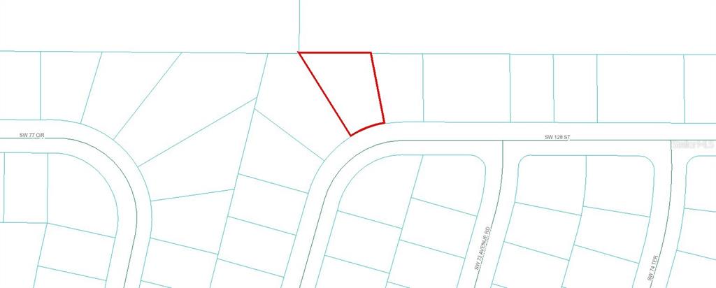 Tbd Southwest 128th Street Ocala, FL 34473 - Photo 4 of 4 a bathroom with a shower and a shower curtain