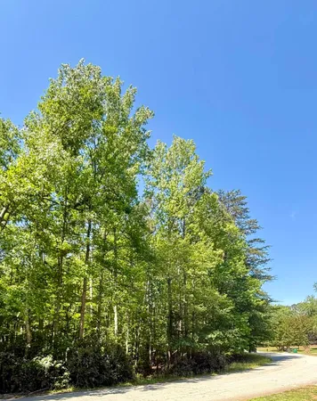 $115,000 | 0 Woodwind Drive, Spartanburg, SC 29302